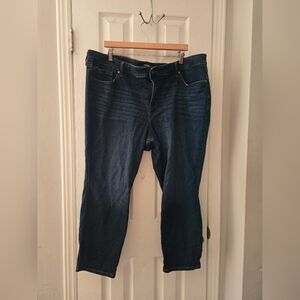 24 short Torrid skinny jeans